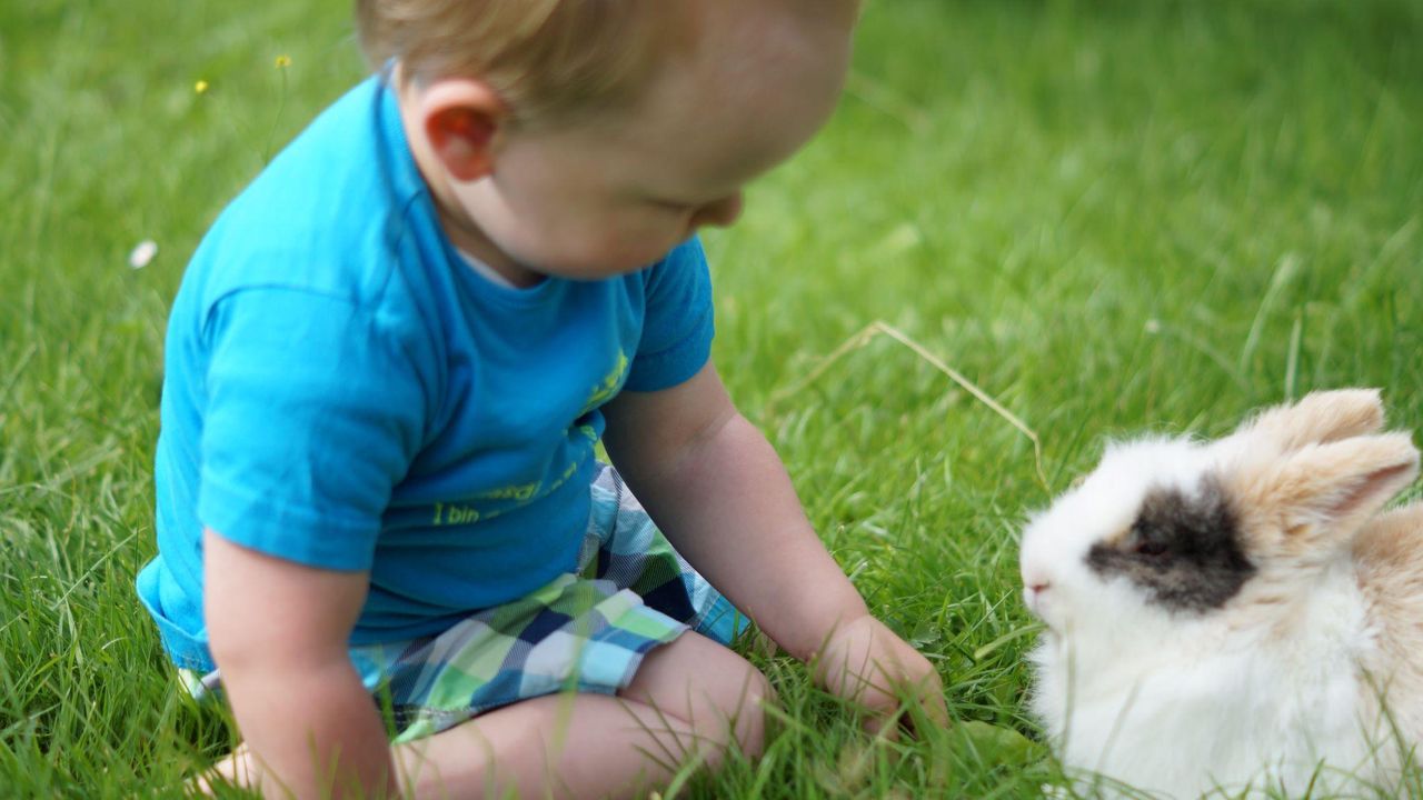 mit unsern Hasen mit unsern Hasen